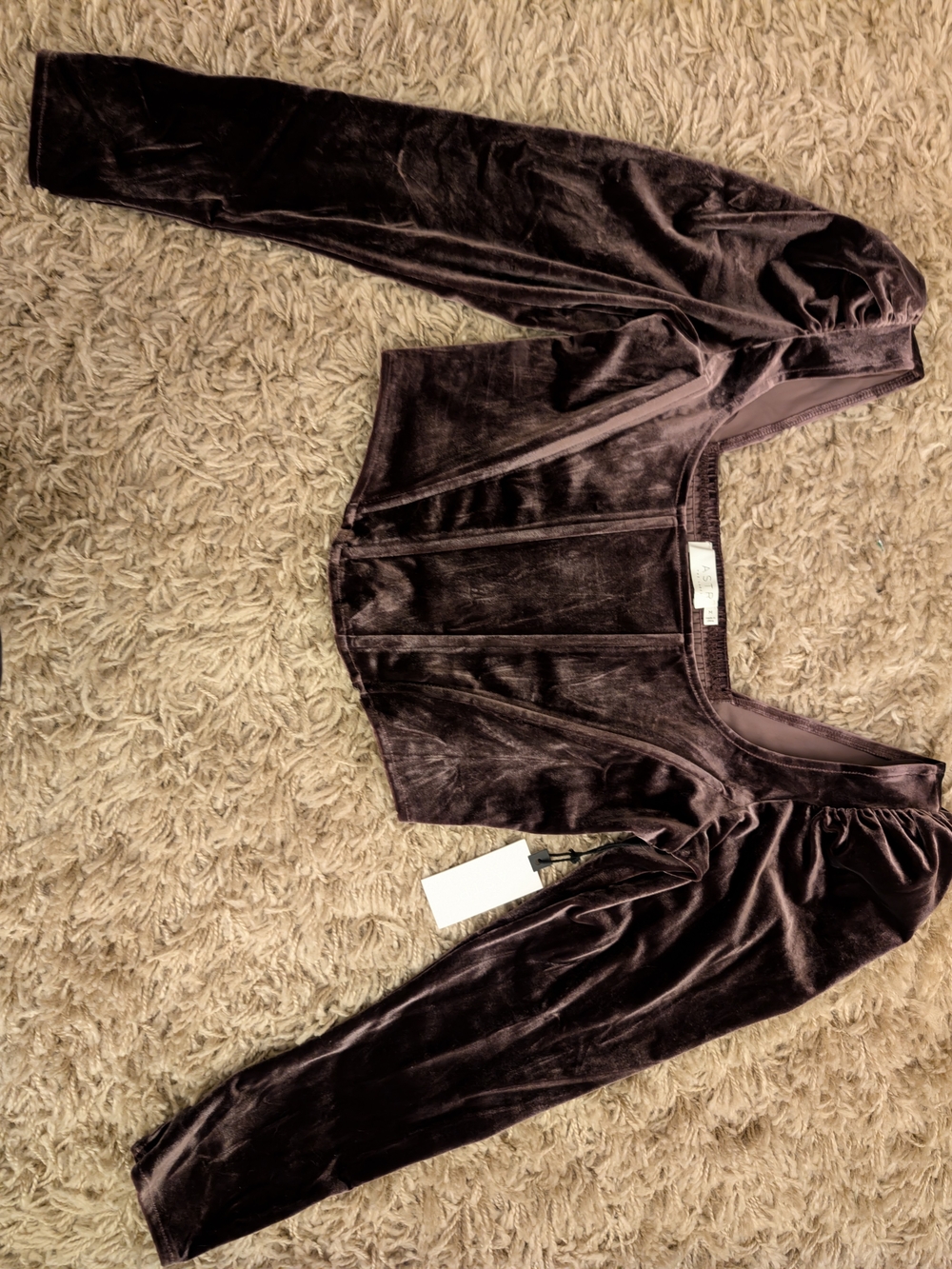 ASTR The Label Ashbury Velvet Corset Top Raisin Size M NWT